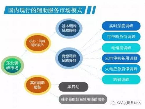 我國現(xiàn)行的電力輔助服務(wù)市場模式及展望——兼論計(jì)算機(jī)軟硬件零售的潛在賦能